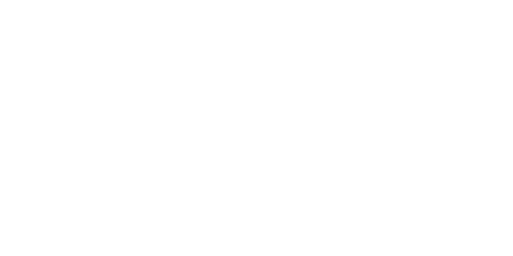 stake-logo-white